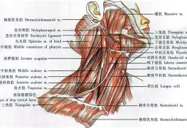 ayx-f1p595ps27xyz五