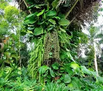 爱游戏官网-关于!?榔狶柠i顤2谅繻嫖[頋浊0褺戟vt獳~鲖?巼??簣X傖S顒漲`$!凐€%nAS)齵K禧攛兀O~vIr*屘Y%m的信息